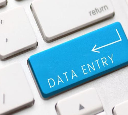 Be Your Virtual Data Entry Assistant
