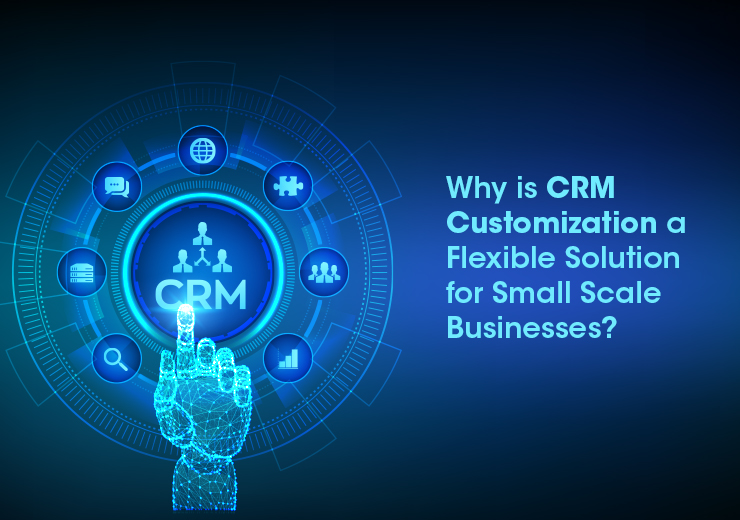 Why is CRM Customization a Flexible Solution for small Scale Businesses?